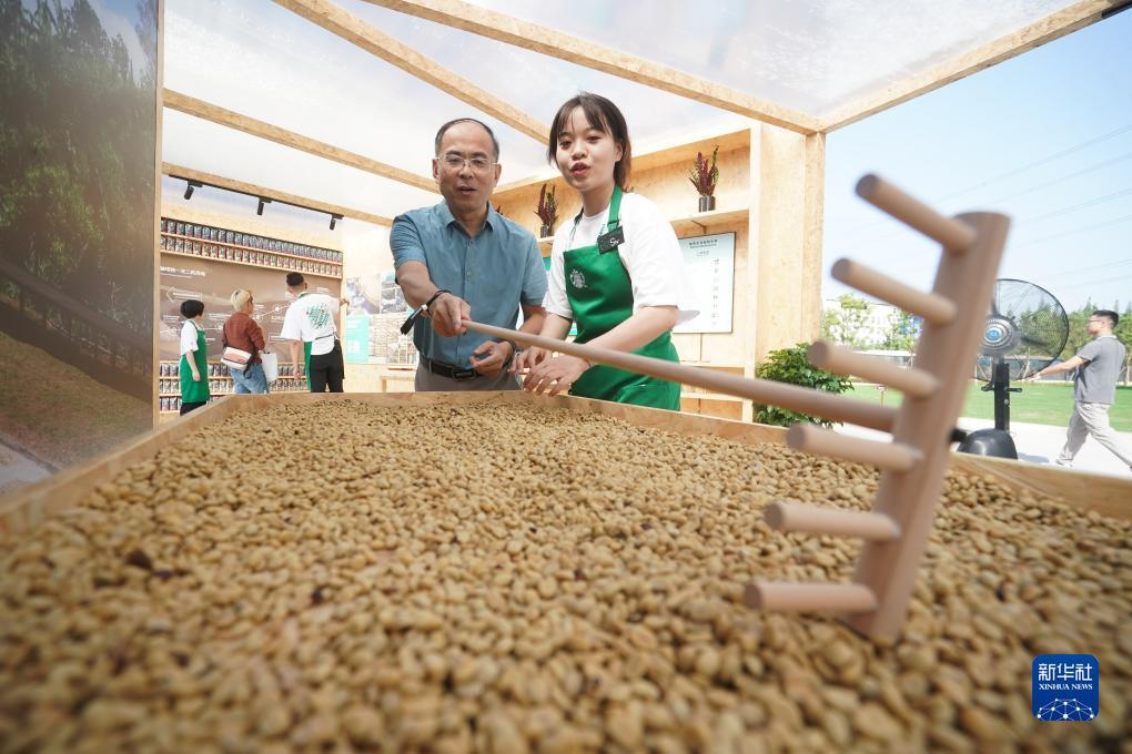 专业菠菜导航官网